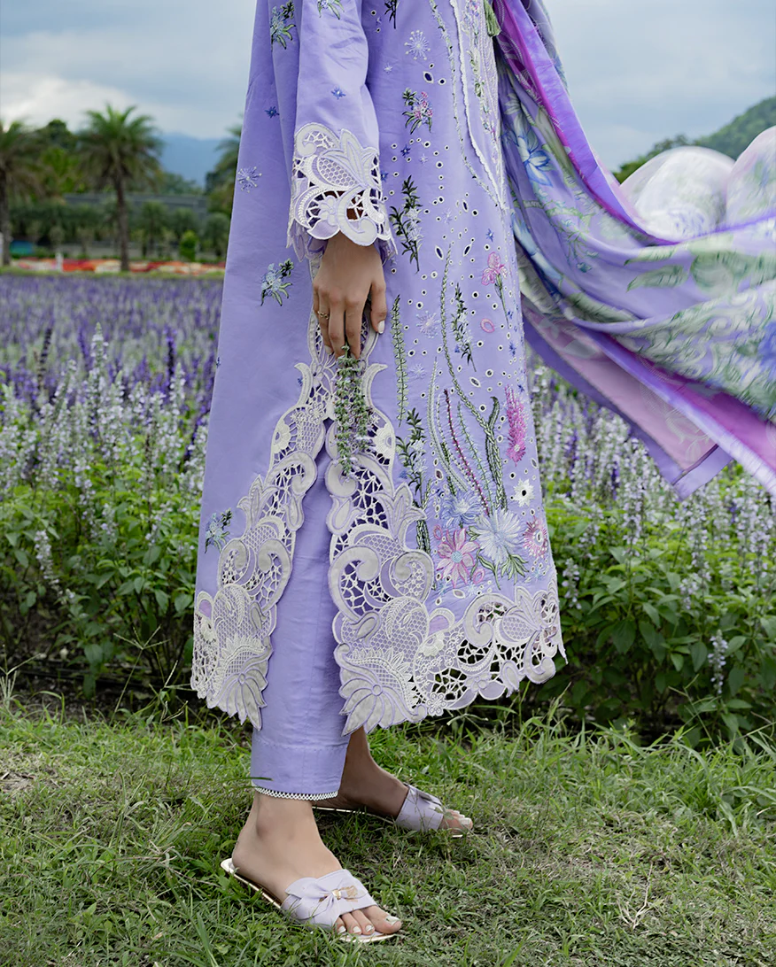 Daisy Reverie - Image 4