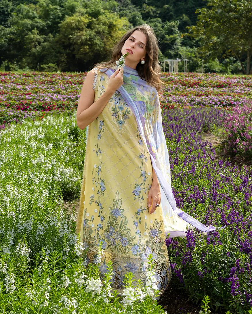 Sunlit Meadow - Image 6